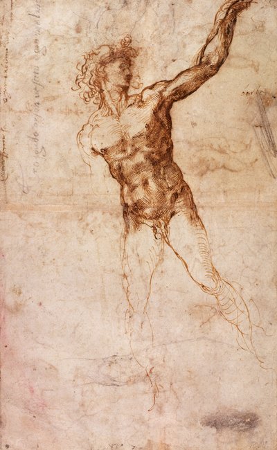 Schets van een Naakte Man (W. 4 recto) door Michelangelo Buonarroti